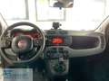 Fiat Panda Panda 0.9 TwinAir Turbo S&S 4x4 Bianco - thumbnail 11