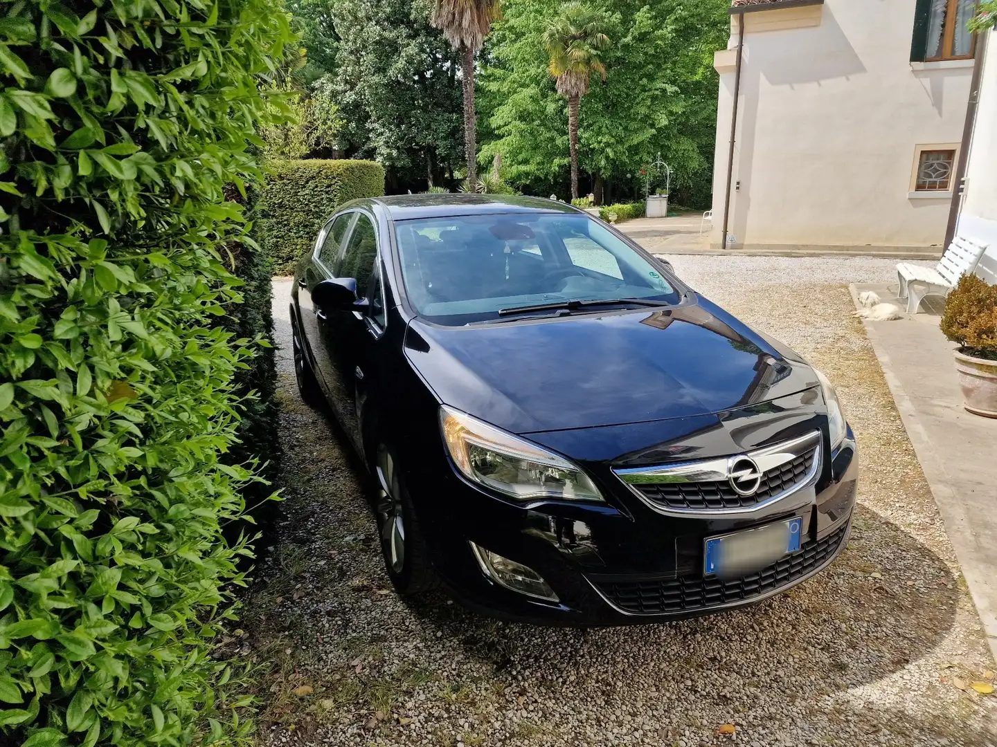 Opel Astra 5p 1.6 Cosmo 115cv Sportline Nero - 2