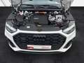 Audi Q5 50 TFSI e quattro S line Black B&O MATRIX-LED Weiß - thumbnail 15
