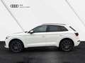 Audi Q5 50 TFSI e quattro S line Black B&O MATRIX-LED Weiß - thumbnail 3