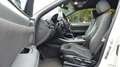 BMW X4 xDrive 20 d M-Sport HUD-Kamera-BiXenon-Leder- Weiß - thumbnail 10