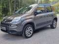 Fiat Panda 4x4 ++VERKAUFT++ Grau - thumbnail 7