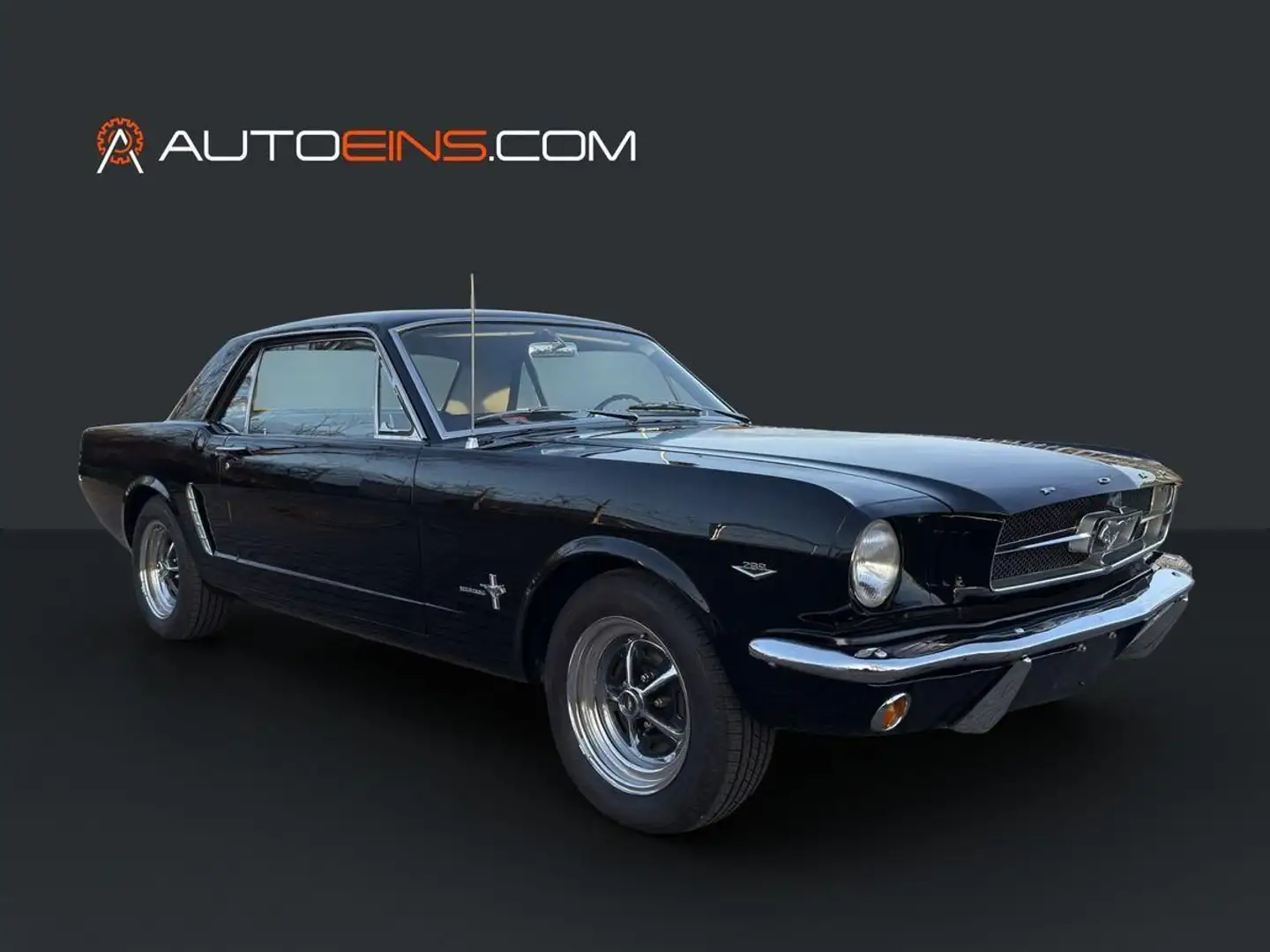 Ford Mustang 1964 1/2 Black plate Schwarz - 1