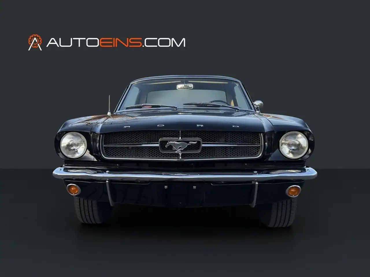 Ford Mustang 1964 1/2 Black plate, foto 2