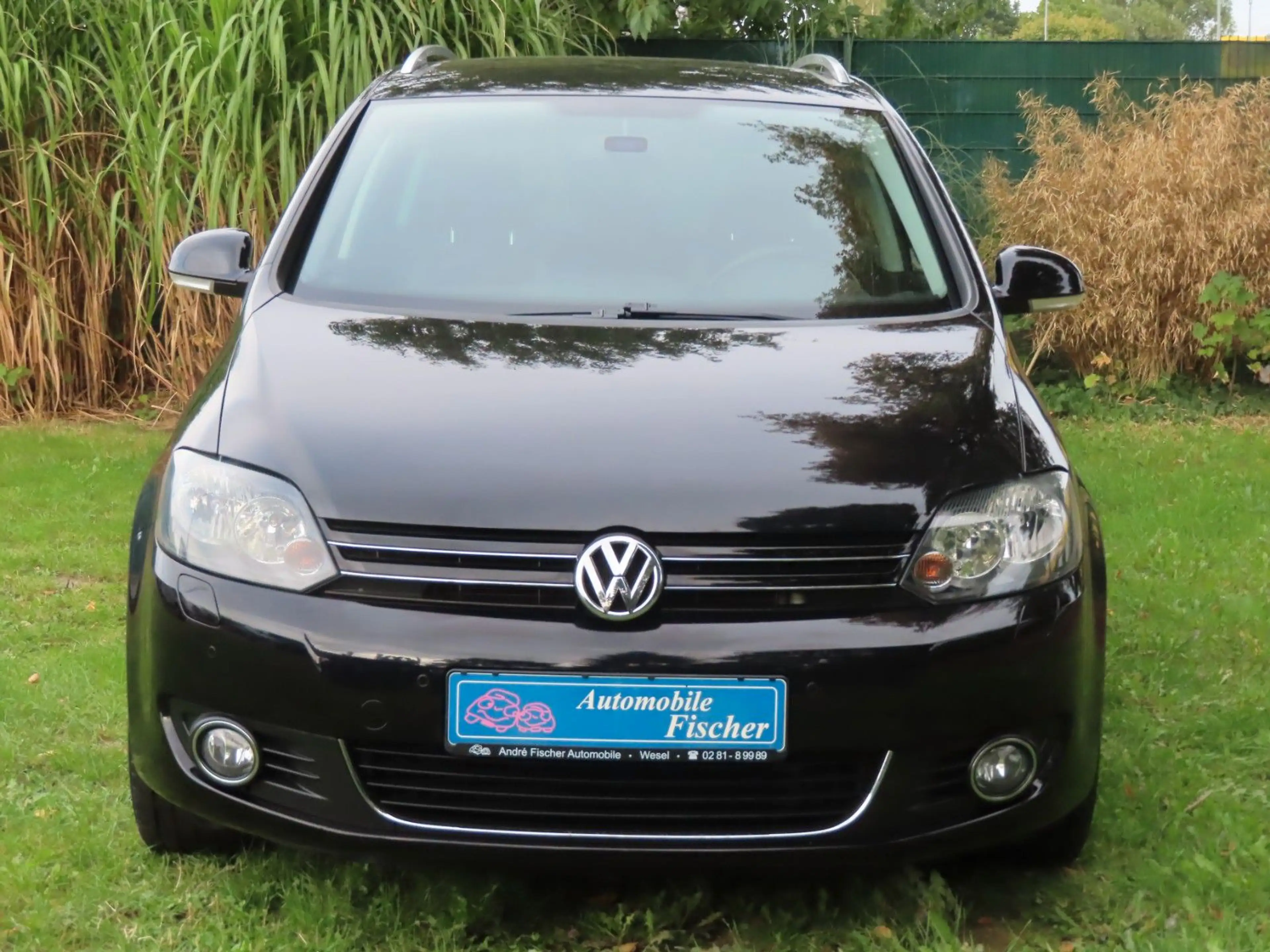 Volkswagen Golf Plus 1,4 Life "Schwarz-Met.-Standheizung" — photo 2