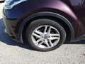 Toyota C-HR I 2020 1.8h Trend e-cvt Rosso - thumbnail 11