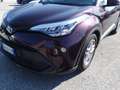 Toyota C-HR I 2020 1.8h Trend e-cvt Rosso - thumbnail 9