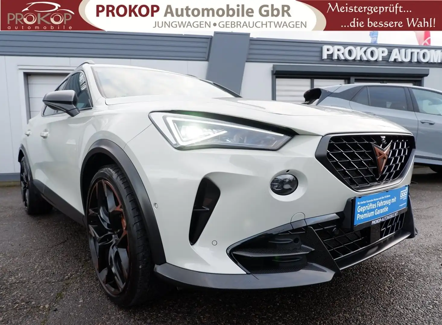 CUPRA Formentor VZ5 Edition Taiga 4Drive Nr. 265/999 Matrix Memory Gris - 2