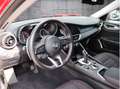 Alfa Romeo Giulia Super - thumbnail 16