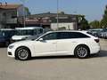 Audi A6 Avant 35 2.0 tdi mhev Business Plus s-tronic Bianco - thumbnail 11