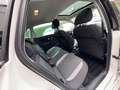 Volkswagen Polo V Life*Panorama*1.Hand*PDC*SHZ*8-fachBereif Weiß - thumbnail 17