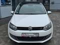 Volkswagen Polo V Life*Panorama*1.Hand*PDC*SHZ*8-fachBereif Weiß - thumbnail 2