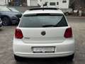 Volkswagen Polo V Life*Panorama*1.Hand*PDC*SHZ*8-fachBereif Weiß - thumbnail 7