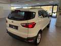 Ford EcoSport 1.5 110 CV Business Bianco - thumbnail 14