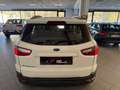 Ford EcoSport 1.5 110 CV Business Blanc - thumbnail 13