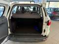 Ford EcoSport 1.5 110 CV Business Bianco - thumbnail 15