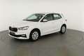 Skoda Fabia Selection 1.0 TSI Selection, Tempomat, Park, Wi... Wit - thumbnail 27