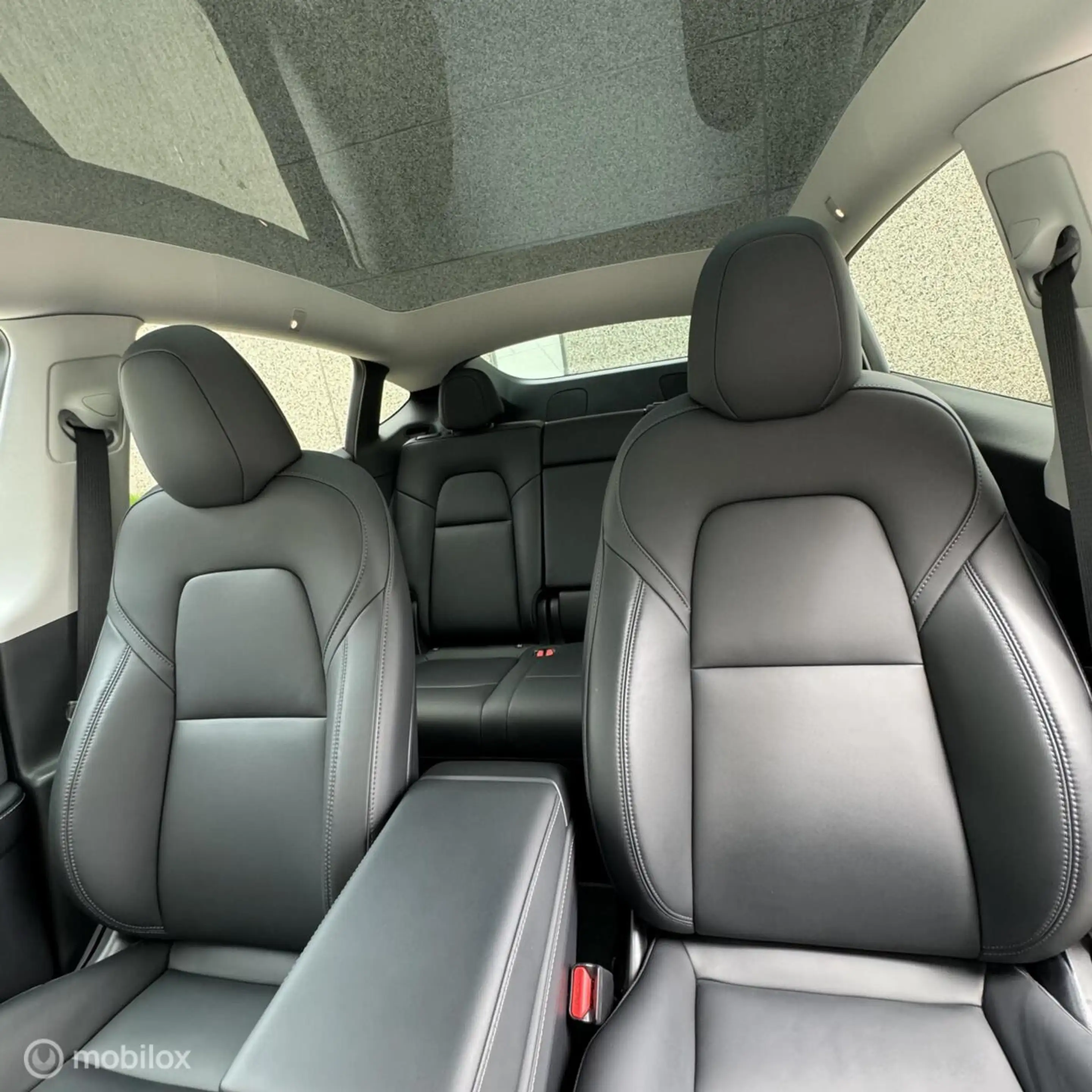 Tesla Model Y RWD + MMX PACK + IAP — photo 9