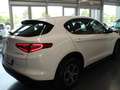 Alfa Romeo Stelvio Stelvio 2020 2.2 t Business rwd 160cv auto Wit - thumbnail 6