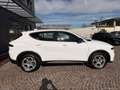 Alfa Romeo Tonale 1.6 diesel 130 CV TCT6 Sprint Bianco - thumbnail 4