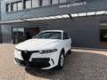 Alfa Romeo Tonale 1.6 diesel 130 CV TCT6 Sprint Bianco - thumbnail 1