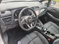 Nissan Leaf e+ Tekna 59 kWh *ab € 25.990,-* Weiß - thumbnail 9