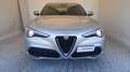 Alfa Romeo Stelvio 2.2 Turbodiesel 160 CV AT8 RWD Gris - thumbnail 2
