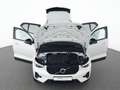 Volvo XC40 B3 Benzin Plus Dark 18"+PIXEL-LED+ACC+360° Weiß - thumbnail 13