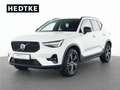 Volvo XC40 B3 Benzin Plus Dark 18"+PIXEL-LED+ACC+360° Weiß - thumbnail 1