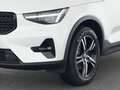 Volvo XC40 B3 Benzin Plus Dark 18"+PIXEL-LED+ACC+360° Weiß - thumbnail 9