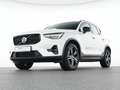 Volvo XC40 B3 Benzin Plus Dark 18"+PIXEL-LED+ACC+360° Weiß - thumbnail 7