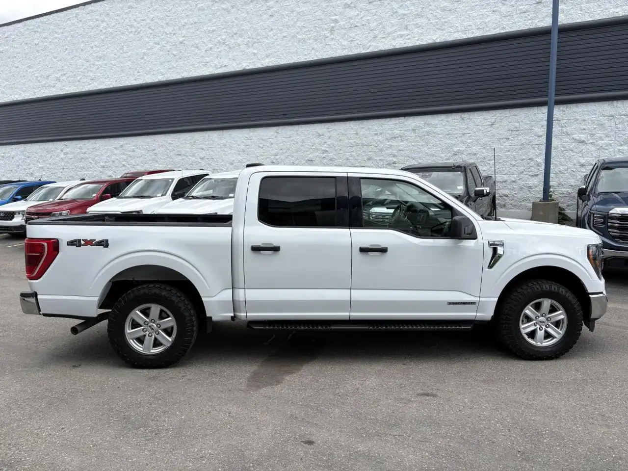 Ford F 150 fotografie Ford F 150