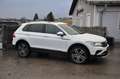 Volkswagen Tiguan Tiguan 2,0 TDI 4Motion DSG Elegance Pano, Head up Weiß - thumbnail 7