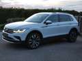 Volkswagen Tiguan Tiguan 2,0 TDI 4Motion DSG Elegance Pano, Head up Weiß - thumbnail 14