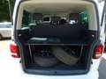 Volkswagen T5 Multivan Edition 25*AHK*DSG*NAVI* Weiß - thumbnail 14