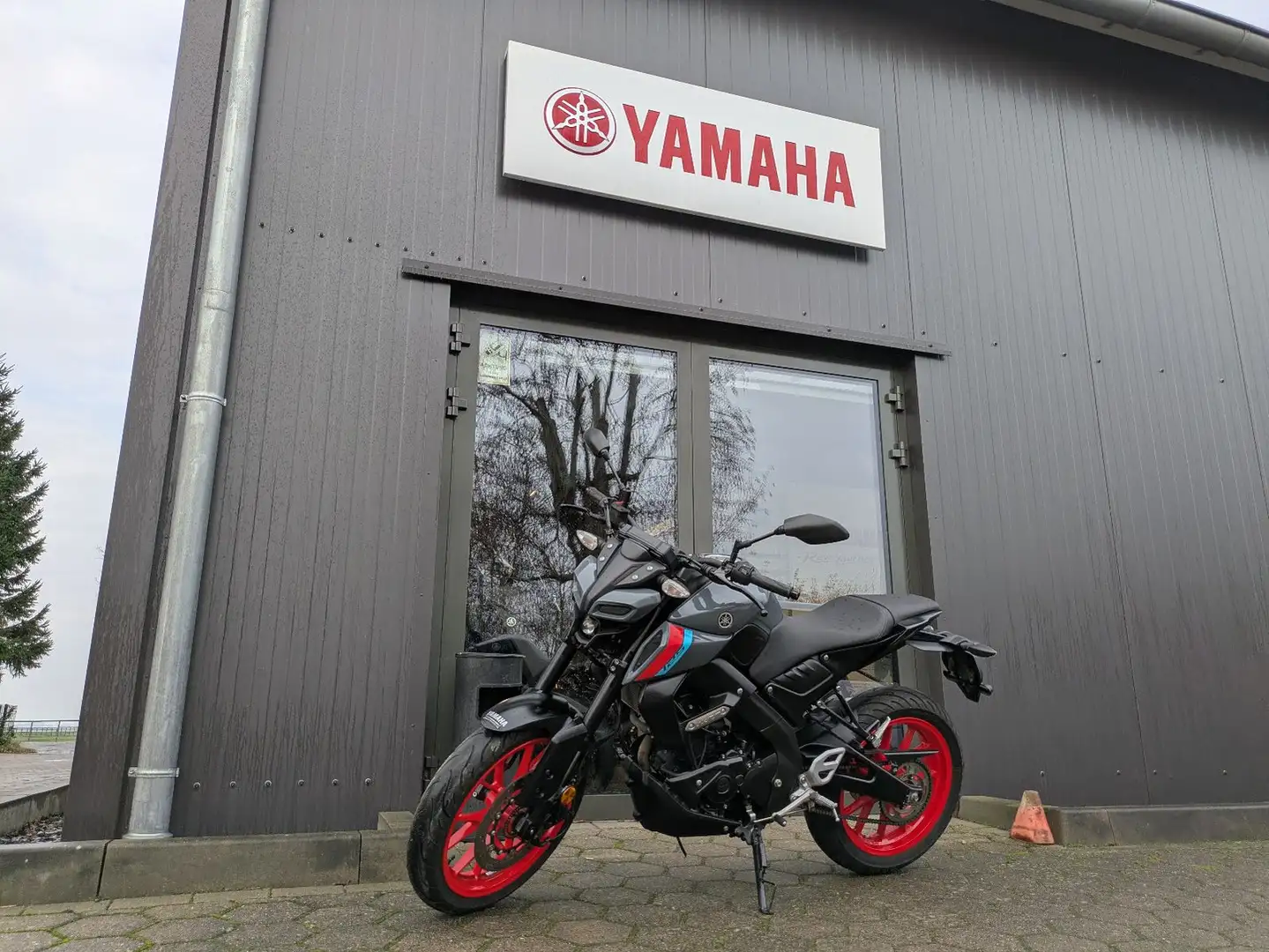 Yamaha MT-125 Gris - 1