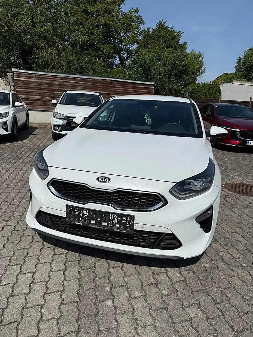Kia Ceed / cee'd ceed 1,5 TGDI Platin Weiß - 2