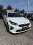 Kia Ceed / cee'd ceed 1,5 TGDI Platin Weiß - thumbnail 1