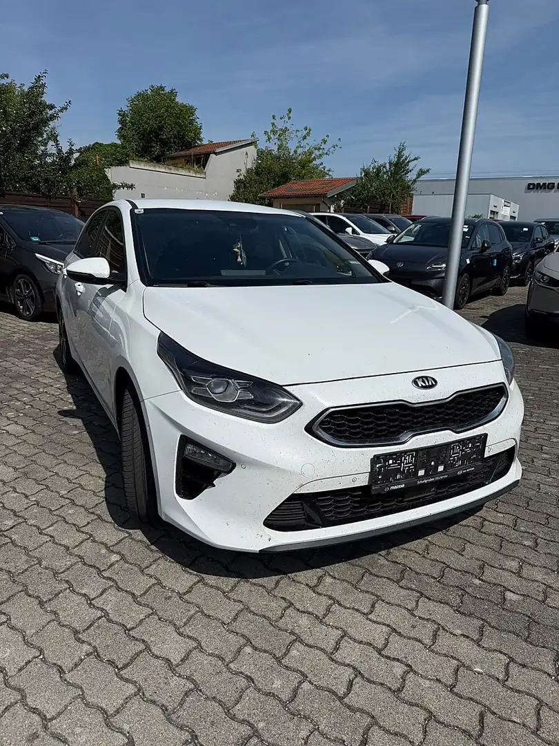 Kia Ceed / cee'd ceed 1,5 TGDI Platin Weiß - 1