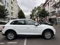 Audi Q5 40 TDI QUATTRO S TRONIC Белый - thumbnail 8