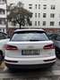 Audi Q5 40 TDI QUATTRO S TRONIC Белый - thumbnail 12