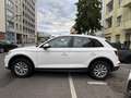 Audi Q5 40 TDI QUATTRO S TRONIC Белый - thumbnail 15