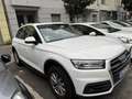 Audi Q5 40 TDI QUATTRO S TRONIC Белый - thumbnail 11