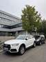 Audi Q5 40 TDI QUATTRO S TRONIC Белый - thumbnail 1