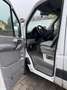Volkswagen Crafter 35 L TDI DPF - thumbnail 15