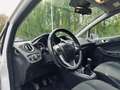 Ford Fiesta 1.6 TDCi Titanium ECOnetic DPF Blanc - thumbnail 10