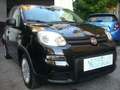 Fiat Panda 1.0 FireFly S&S Hybrid 5°Posto Pack City Nero - thumbnail 6