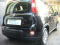 Fiat Panda 1.0 FireFly S&S Hybrid 5°Posto Pack City Nero - thumbnail 8