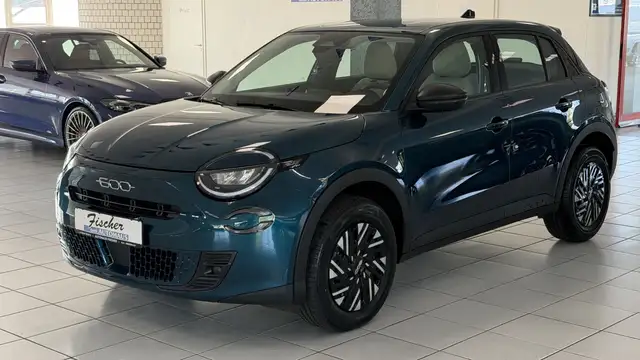 Fiat Sonstige
