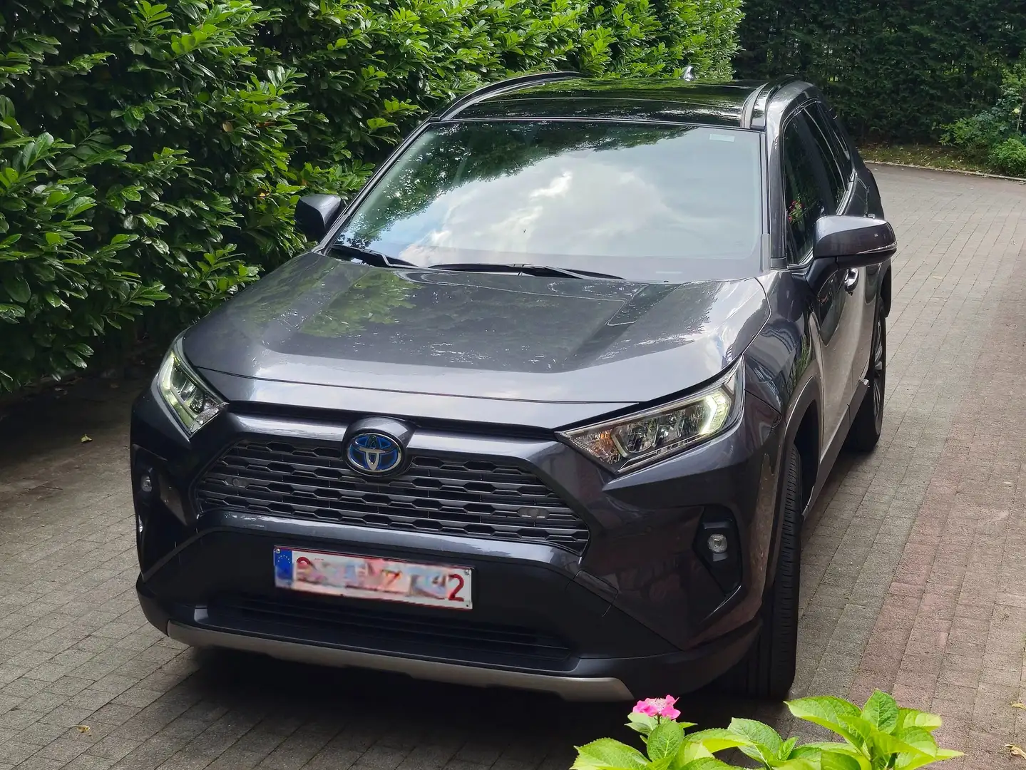 Toyota RAV 4 RAV 4 Hybrid Dynamic Plus +Keyless Access+BSM+RCTA Gris - 1